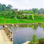 Explore Trawas: Surga Tersembunyi di Jawa Timur yang Wajib Dikunjungi!